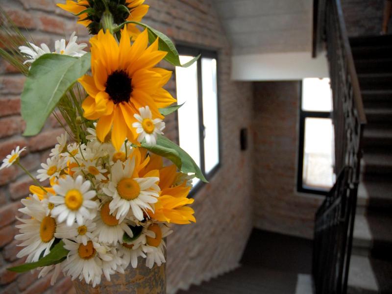 Caro Boutique Hotel image