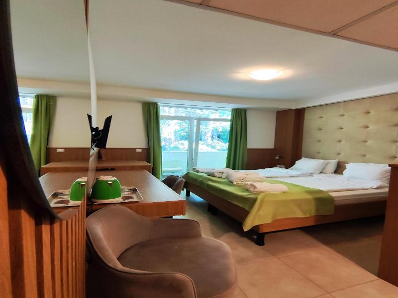 Hotel Spa Tino Sveti Stefan image