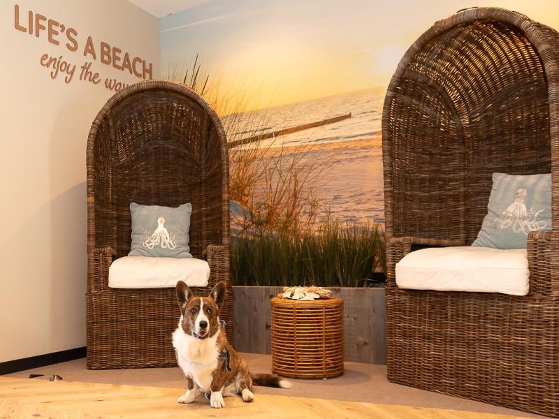 Beachfront Boutiquehotel image