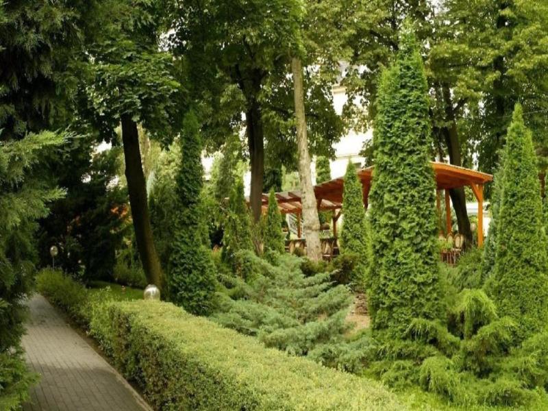 Hotel Villa Volgy Wellness Konferencia image