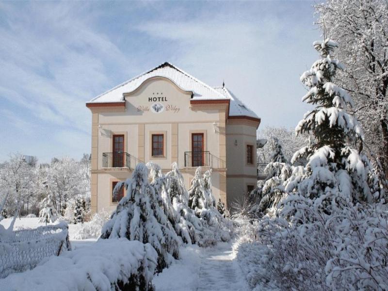 Hotel Villa Volgy Wellness Konferencia image