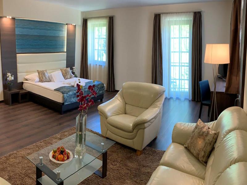 Hotel Villa Volgy Wellness Konferencia image