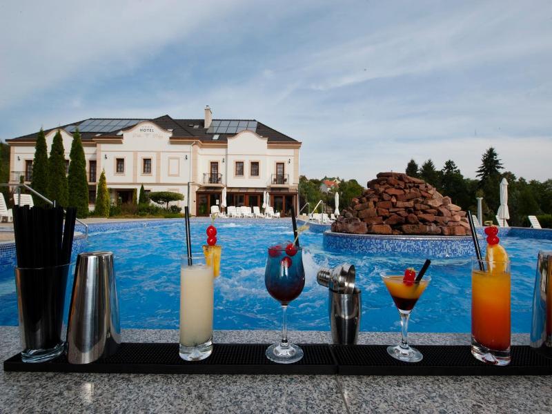 Hotel Villa Volgy Wellness Konferencia image