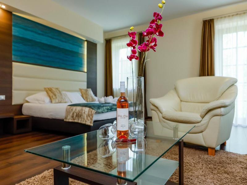 Hotel Villa Volgy Wellness Konferencia image