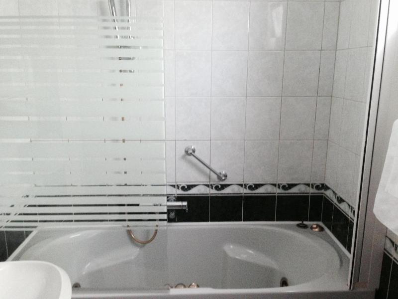 Hotel Consul image