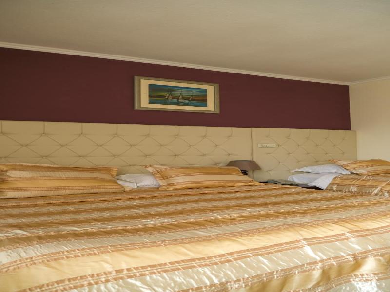 Hotel Consul image