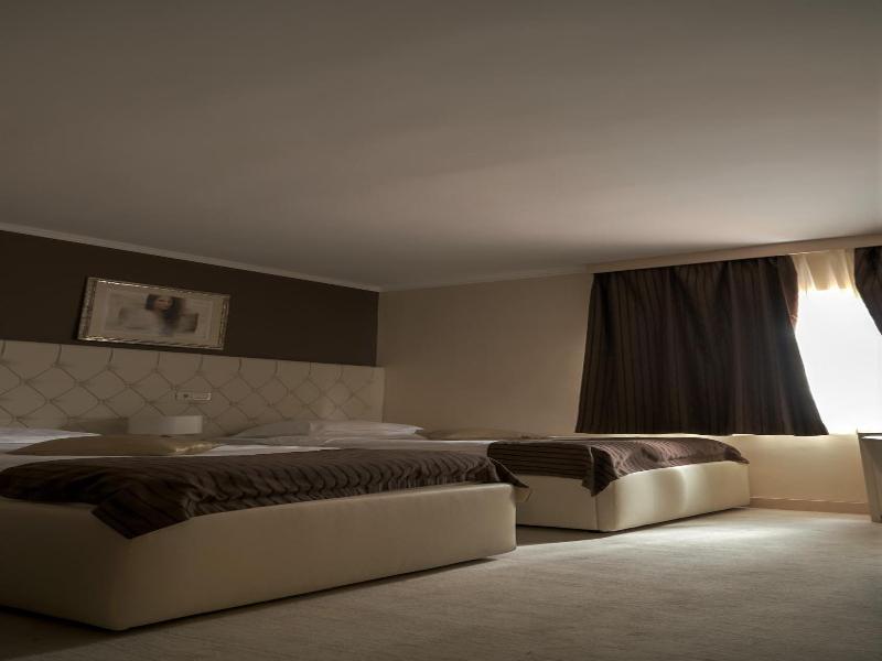 Hotel Consul image