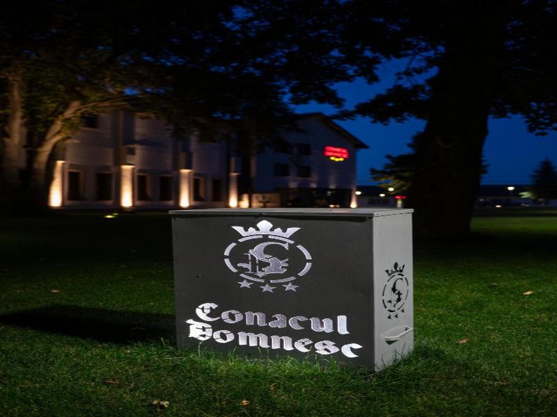 Conacul Domnesc image