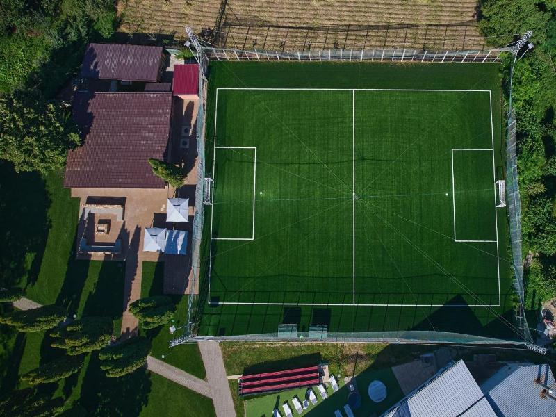 Conacul Domnesc image
