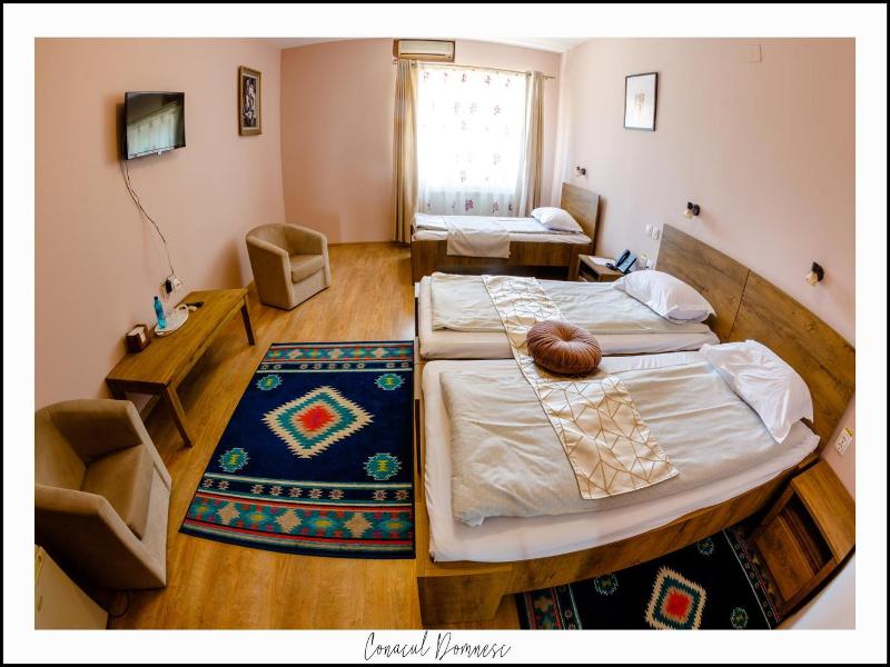 Conacul Domnesc image