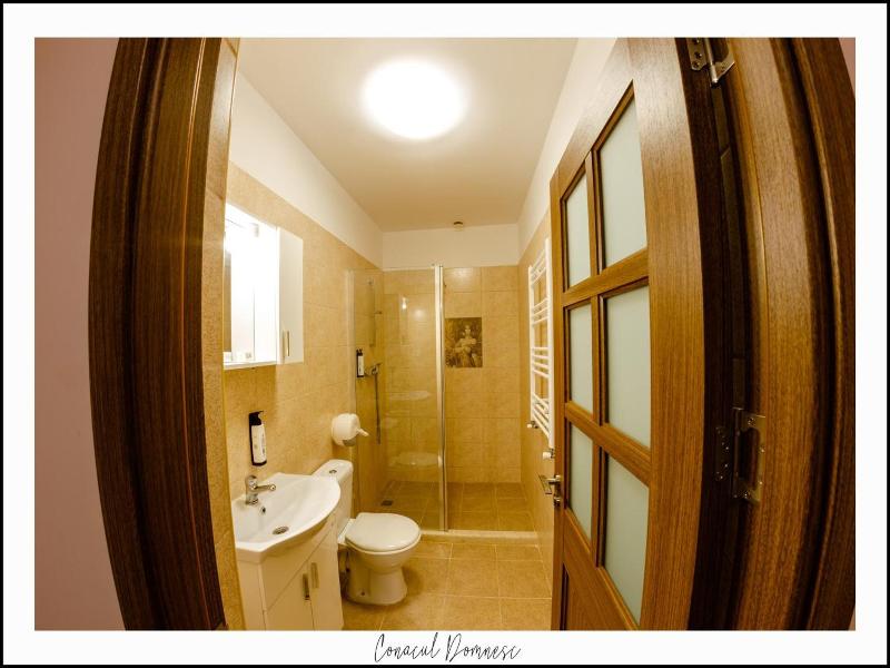 Conacul Domnesc image