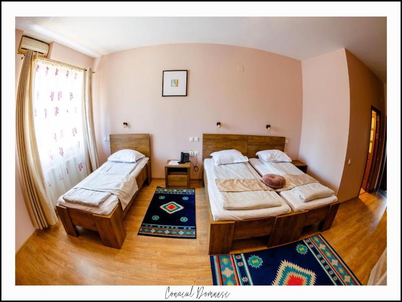 Conacul Domnesc image