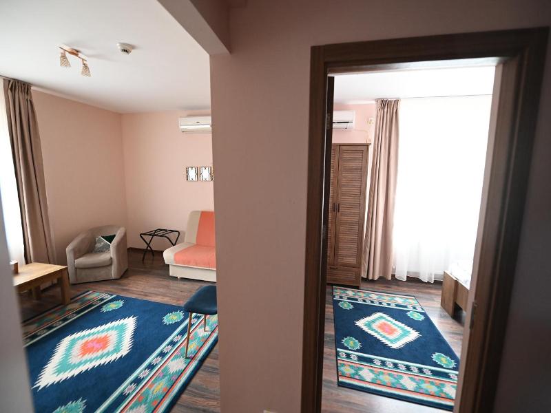 Conacul Domnesc image