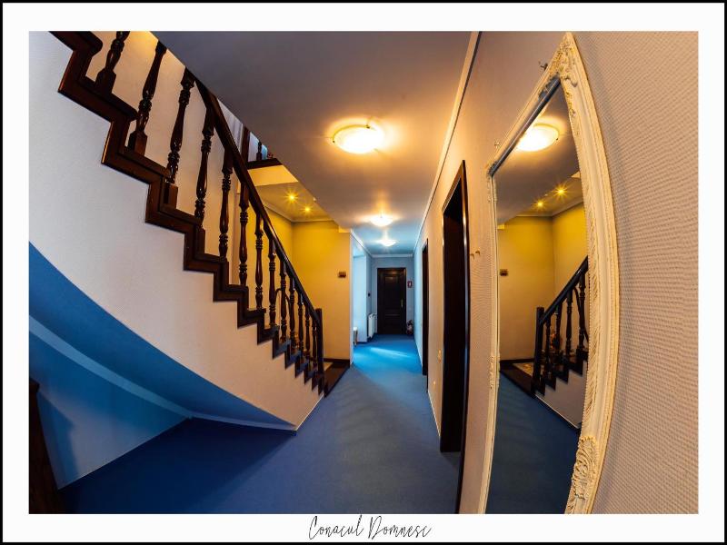 Conacul Domnesc image