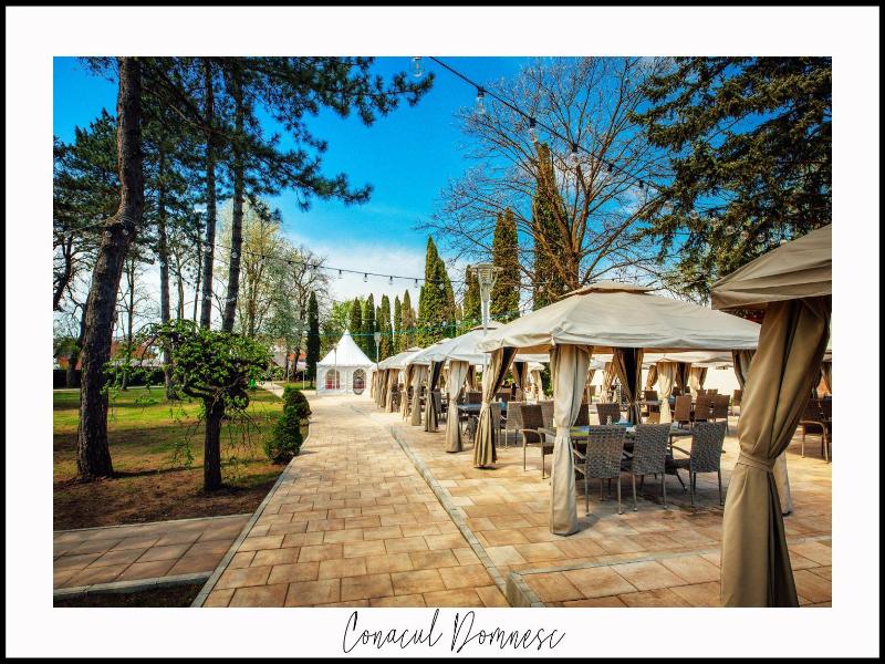 Conacul Domnesc image