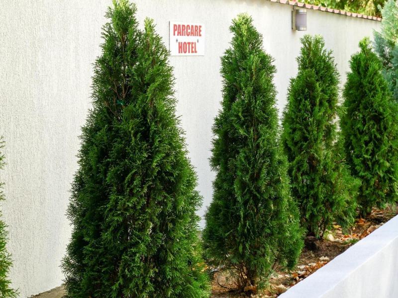Hotel Criss image