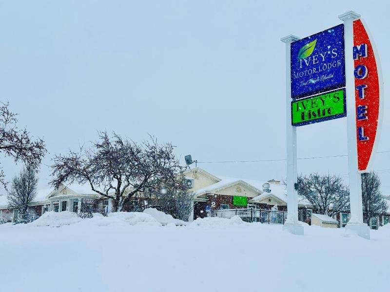 Ivey S Motor Lodge image