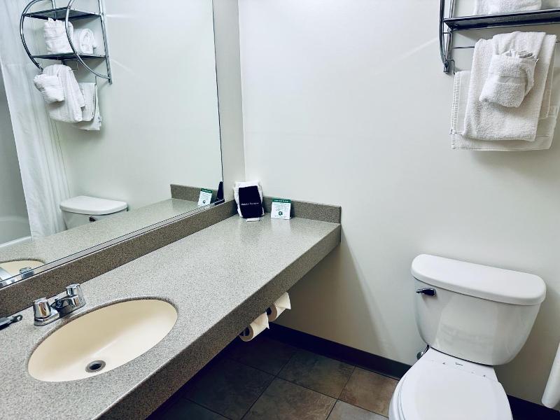 Ivey S Motor Lodge image