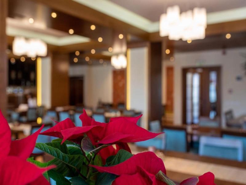 Hotel Buchenland image