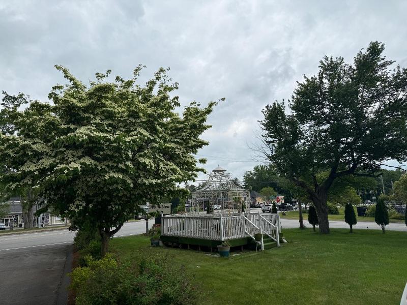 Hamilton Inn Sturbridge image