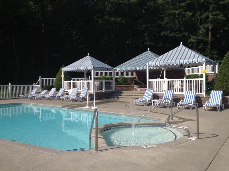 Colonel Williams Resort And Suites image