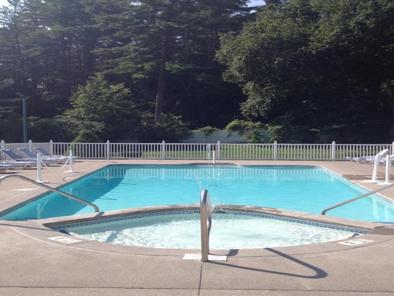 Colonel Williams Resort And Suites image