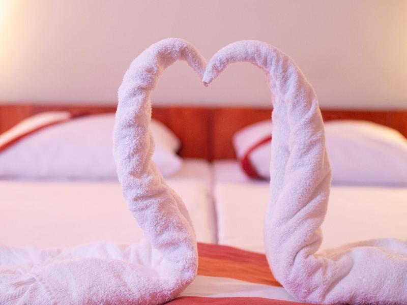 Fordan Hotel Pecs image