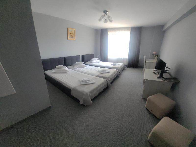 Hotel Delaf image