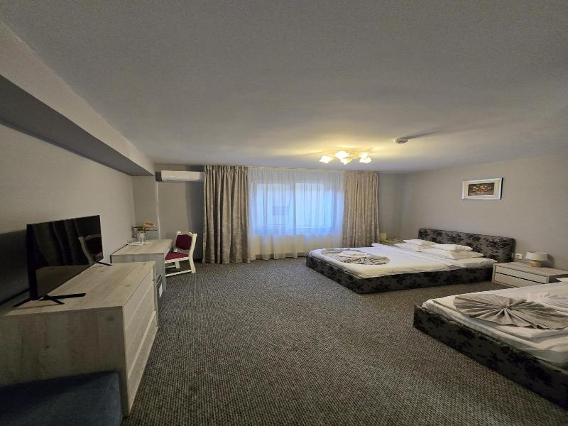Hotel Delaf image