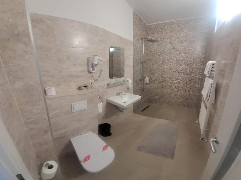 Hotel Delaf image