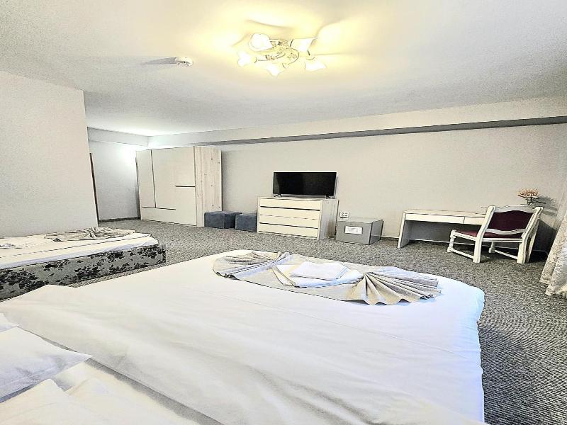 Hotel Delaf image