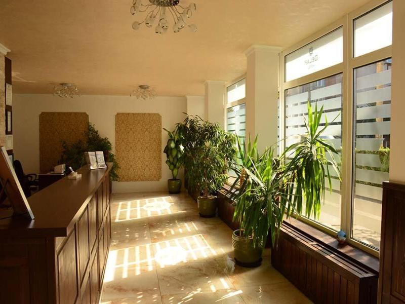 Hotel Delaf image