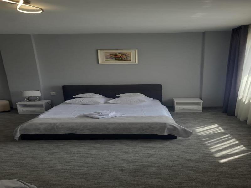 Hotel Delaf image