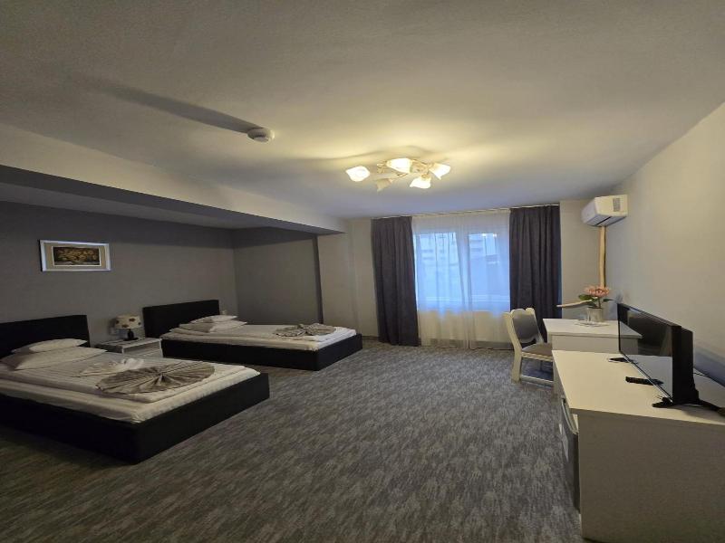 Hotel Delaf image