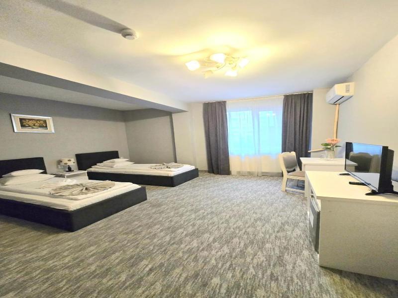Hotel Delaf image