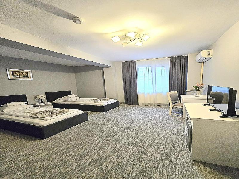 Hotel Delaf image
