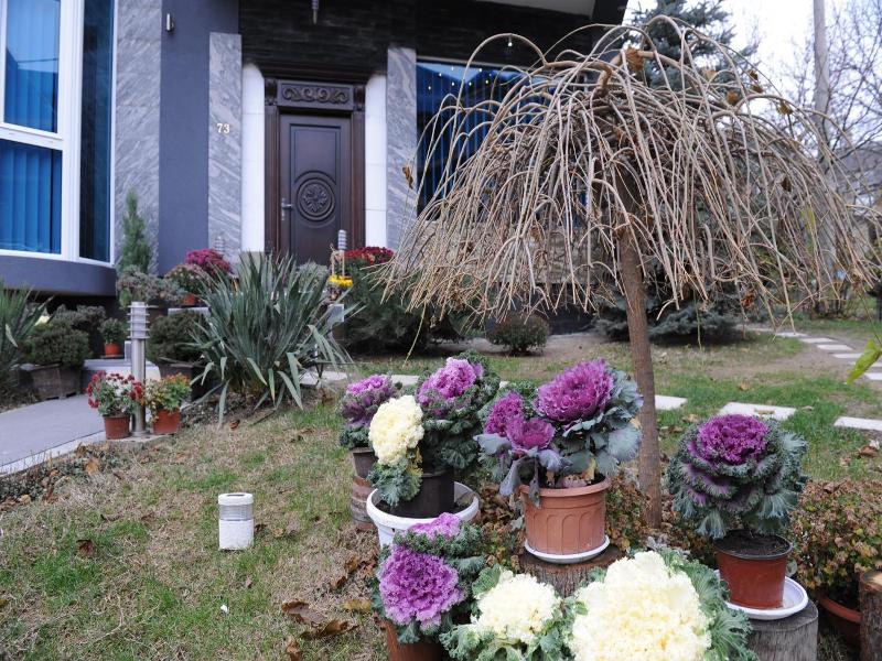 Garni Hotel Lama image