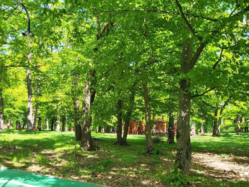 Hotel Elyon Dej