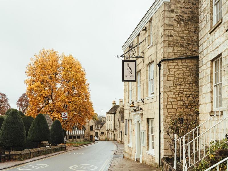 The Falcon Inn image