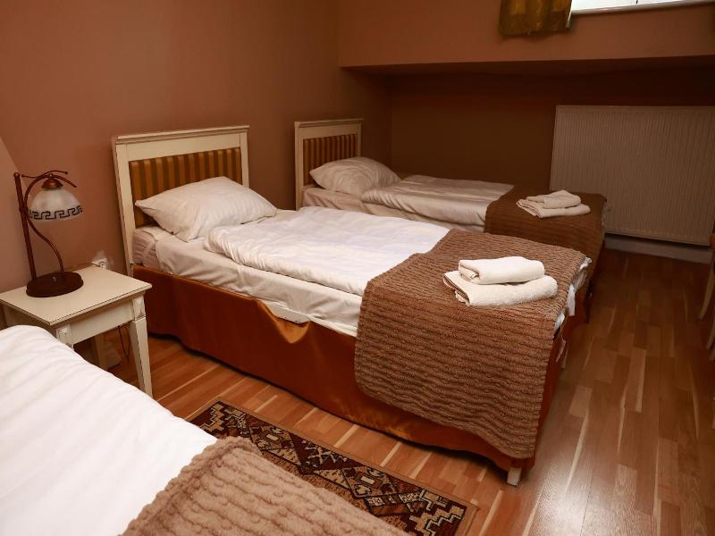 Palac Biedrusko image
