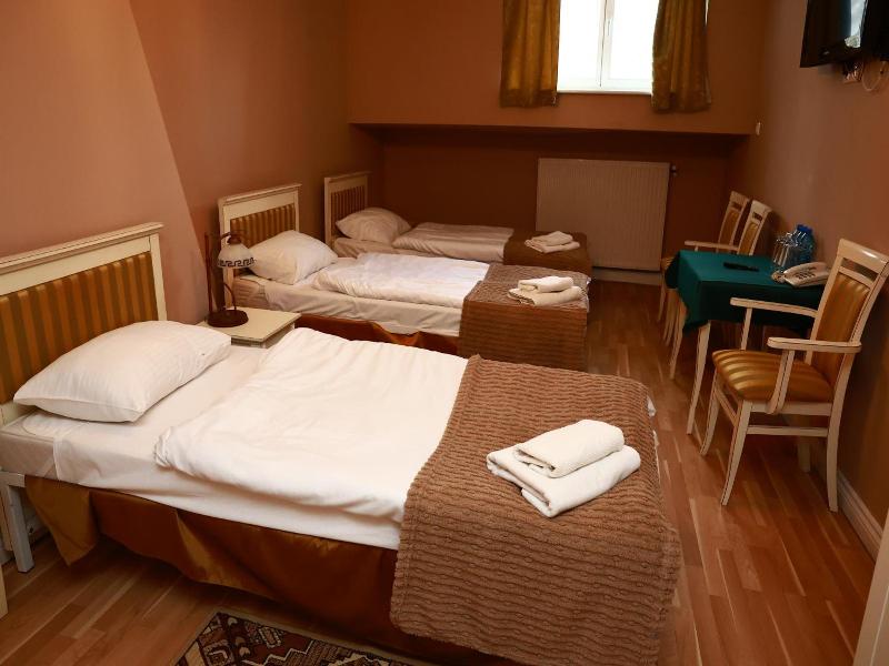 Palac Biedrusko image