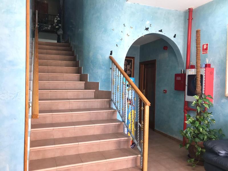 Hotel Los Leones El Mas Cercano A Warner image