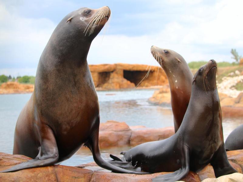 Hex Wildlife Hotel At Yorkshire Wildlife Park image