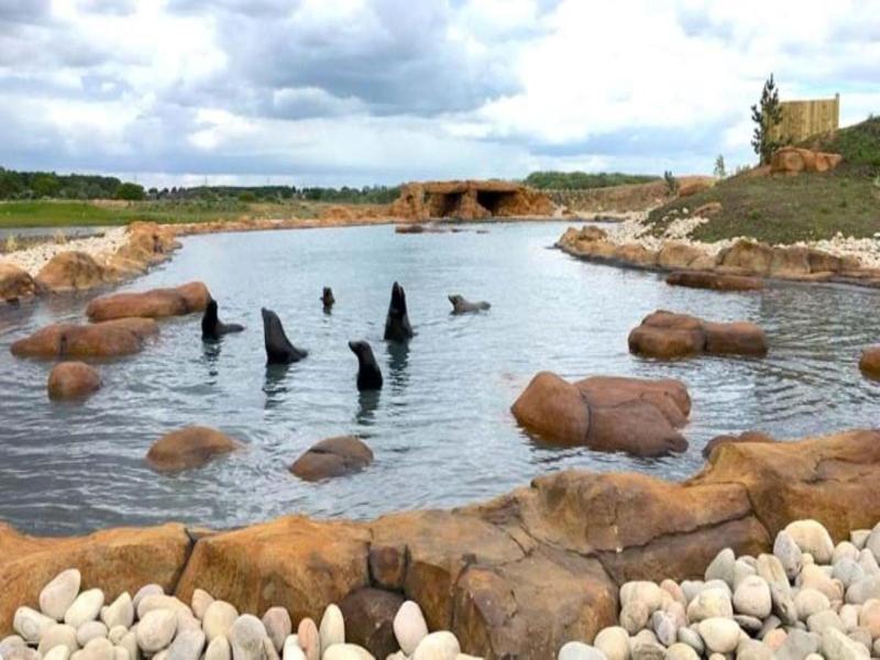 Hex Wildlife Hotel At Yorkshire Wildlife Park image