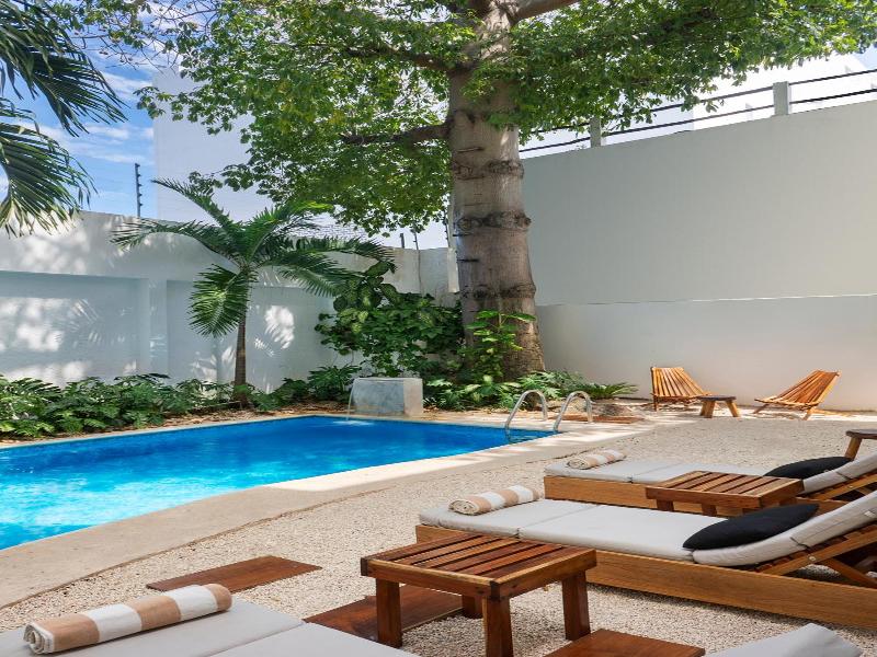 Casa Rodina image