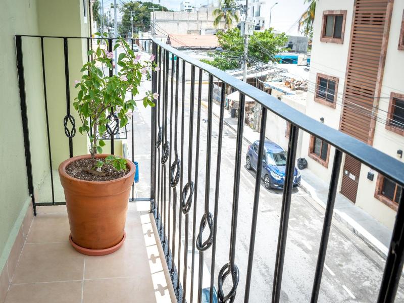 Casa Rodina image
