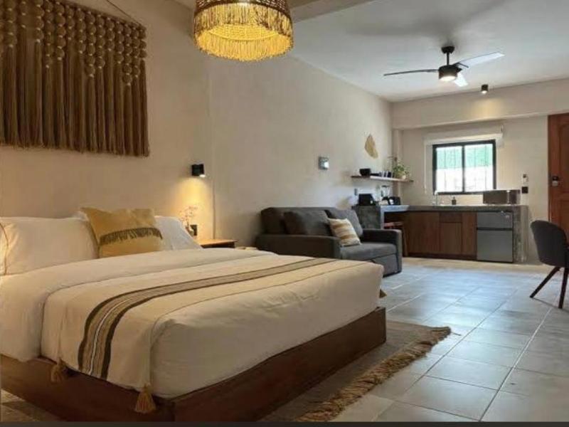 Casa Rodina image