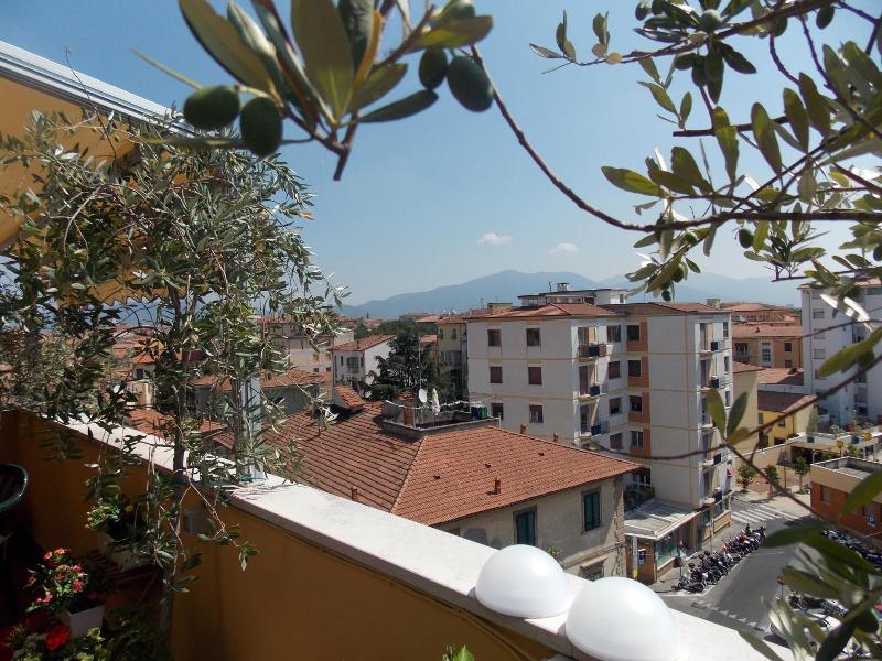 B B Dei Cavalieri image