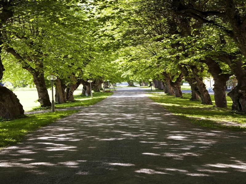 Krusenberg Herrga Rd image