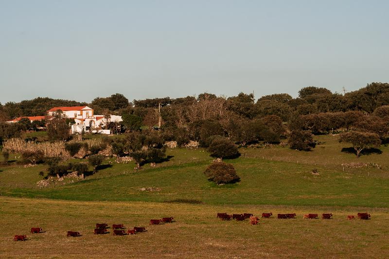 Herdade Dos Moreiros image